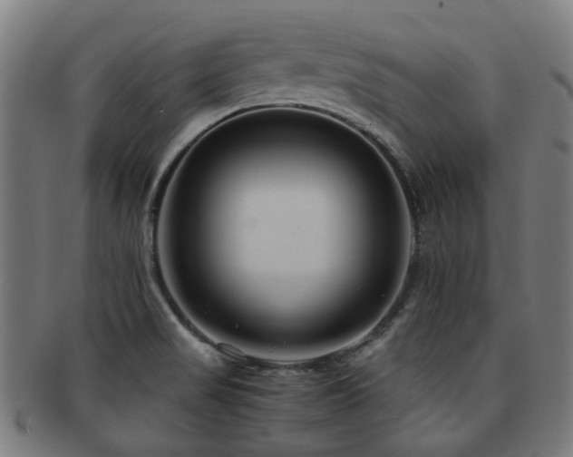 X0000091901517200709051353
