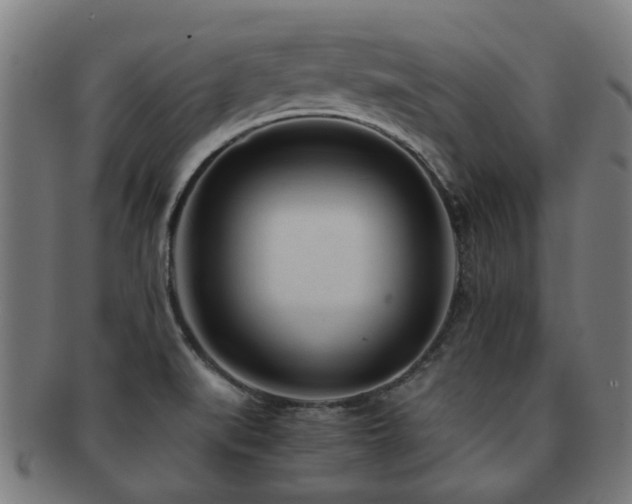 X0000091901519200709051353