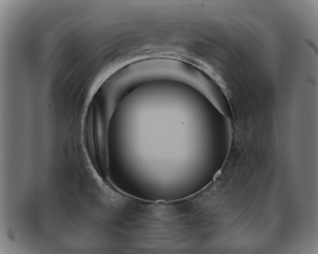 X0000091901520200709051353