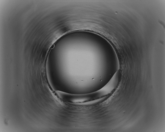 X0000091901521200709051353