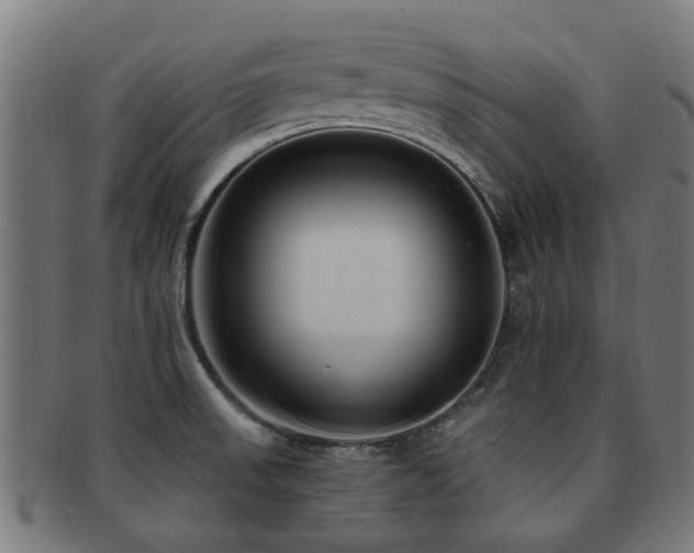 X0000091901523200709051353