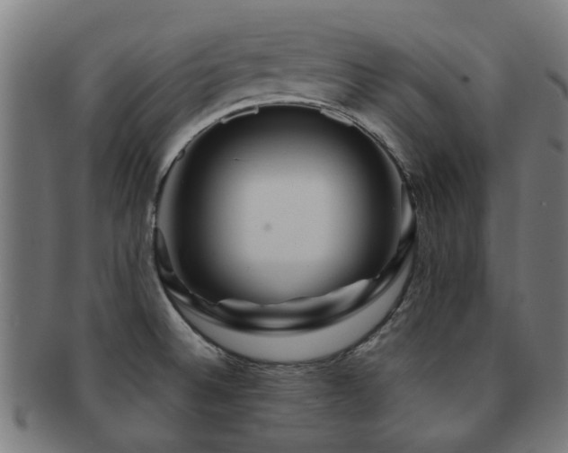 X0000091901524200709051353