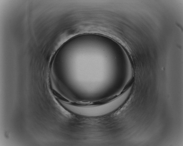 X0000091901525200709051353