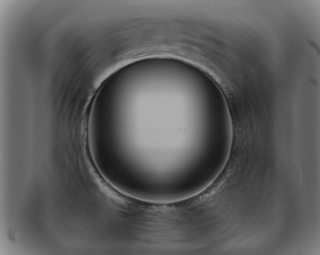 X0000091901526200709051353