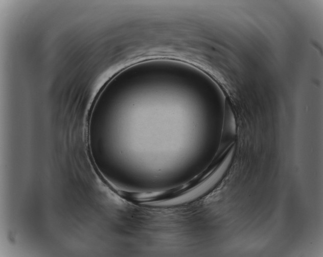 X0000091901527200709051353