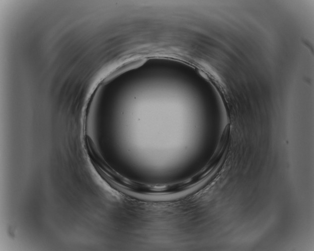 X0000091901528200709051353