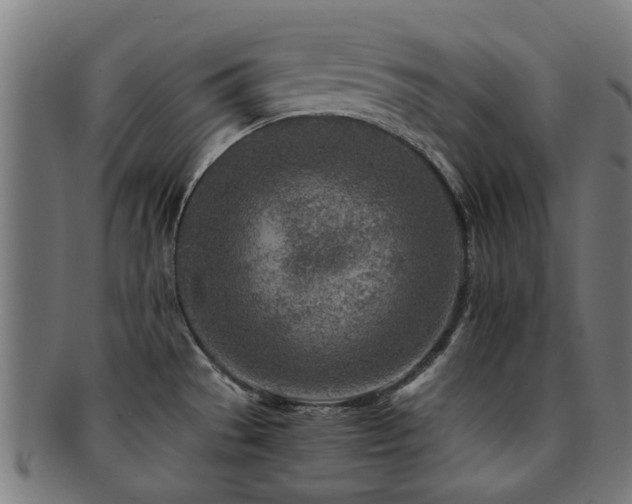 X0000091901529200709051353