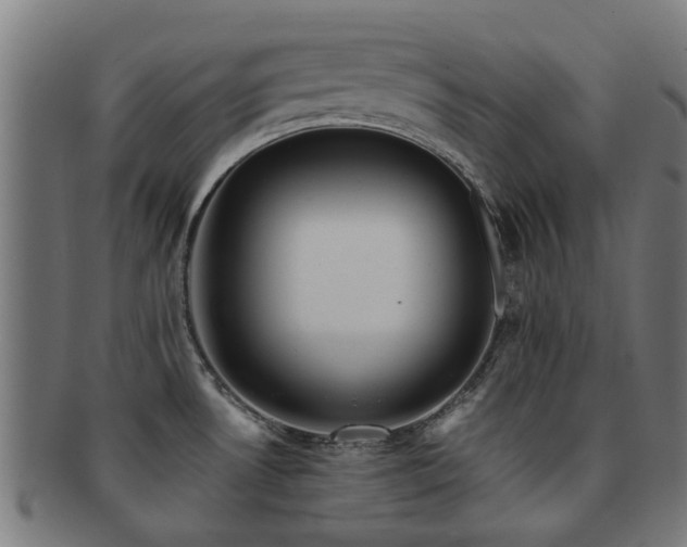 X0000091901530200709051353