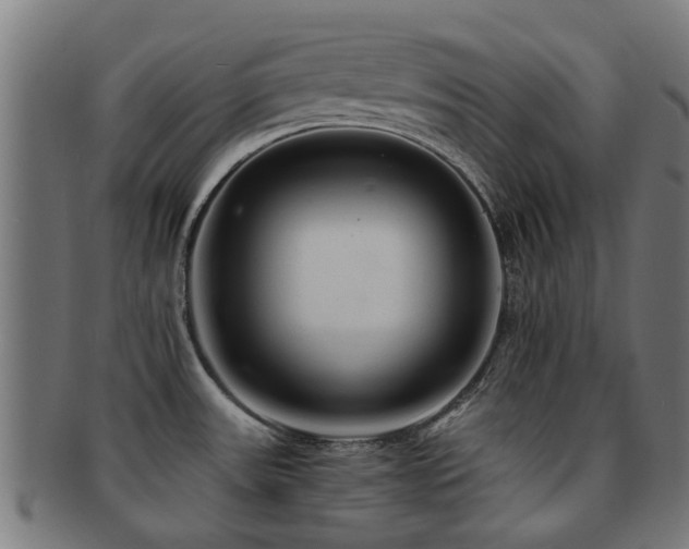 X0000091901531200709051353