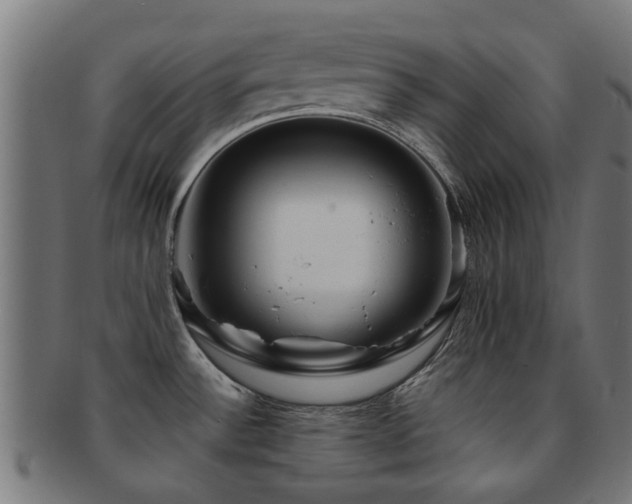 X0000091901532200709051353