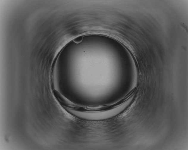 X0000091901533200709051353