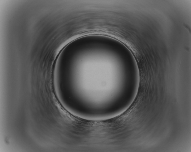 X0000091901534200709051353