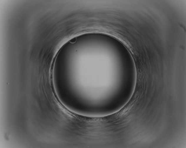 X0000091901535200709051353