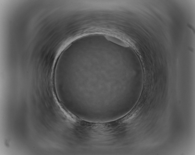 X0000091901536200709051353