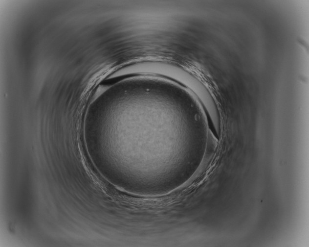 X0000091900001200709121507