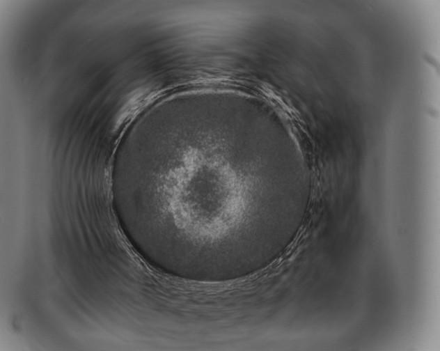 X0000091900002200709121507