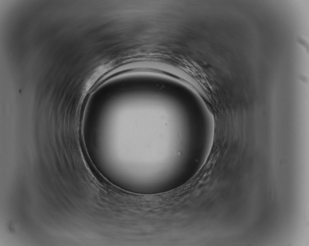 X0000091900003200709121507