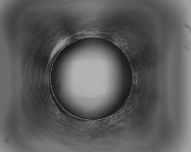 X0000091900004200709121507