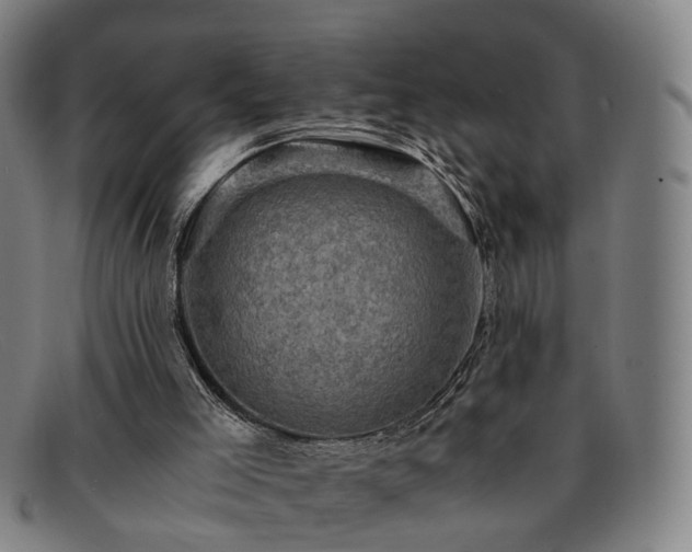 X0000091900005200709121507