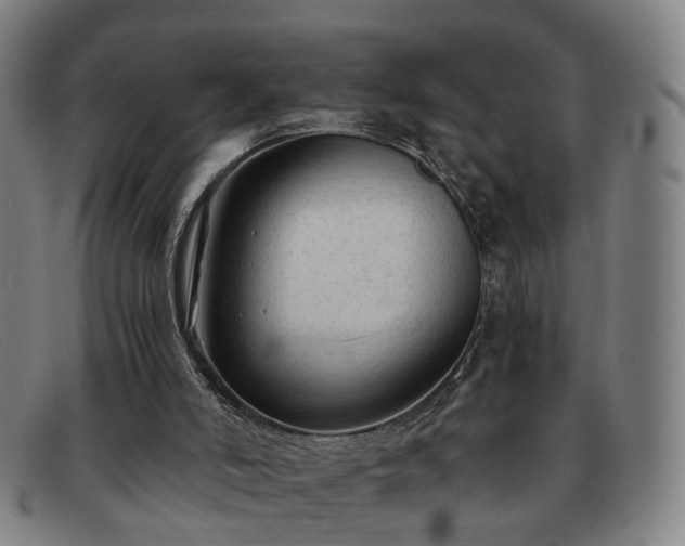 X0000091900006200709121507