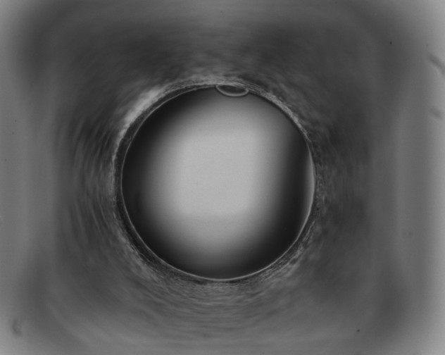 X0000091900008200709121507