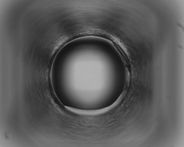 X0000091900010200709121507