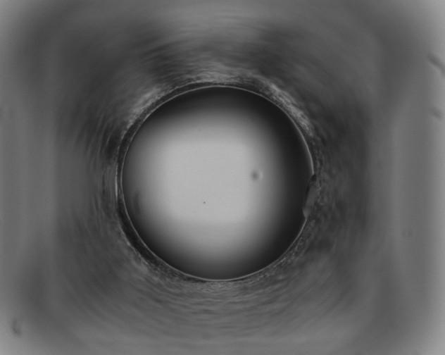 X0000091900011200709121507