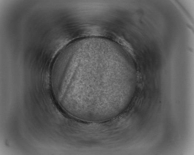 X0000091900012200709121507