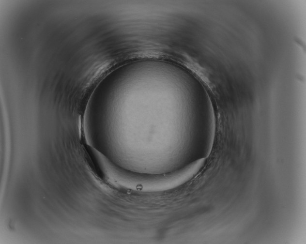 X0000091900013200709121507