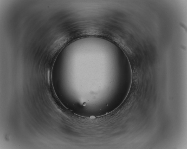 X0000091900014200709121507