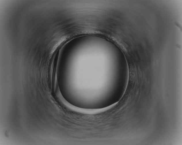 X0000091900015200709121507