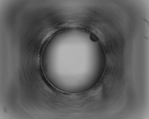 X0000091900016200709121507