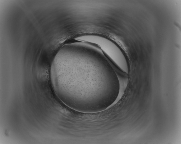 X0000091900017200709121507