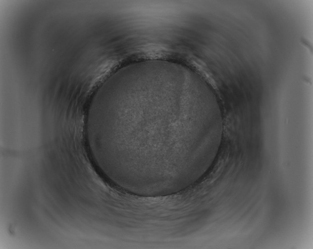 X0000091900018200709121507