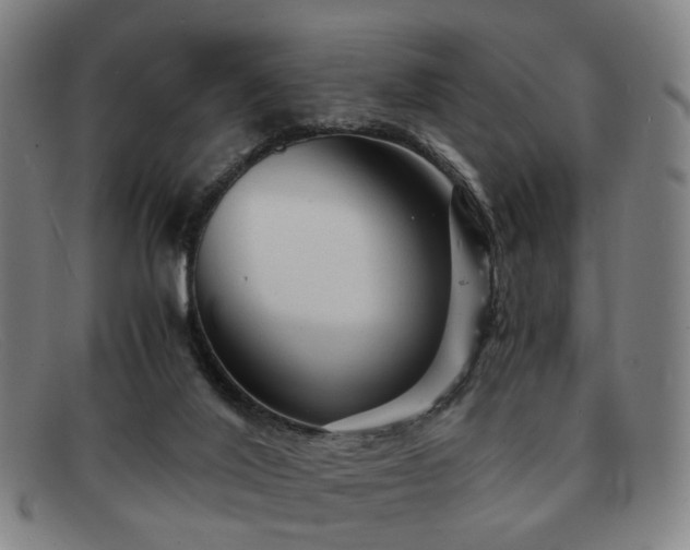 X0000091900020200709121507