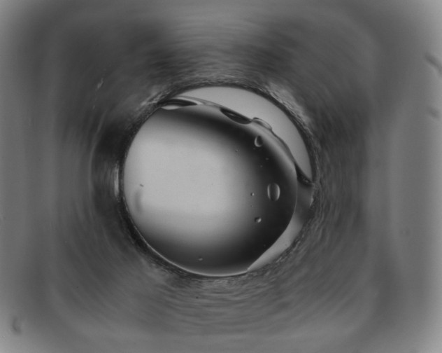 X0000091900021200709121507