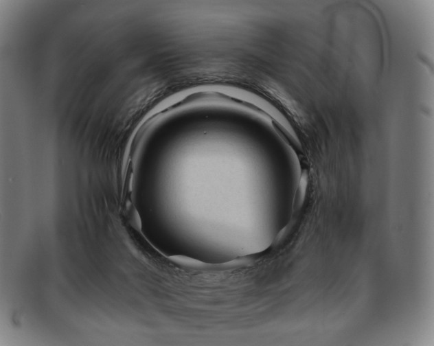 X0000091900022200709121507