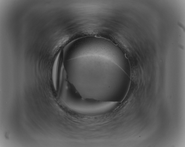 X0000091900023200709121507