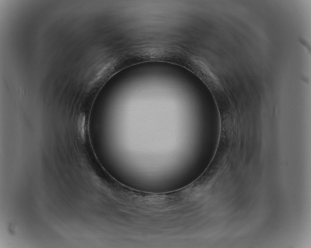 X0000091900024200709121507