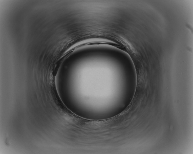 X0000091900025200709121507