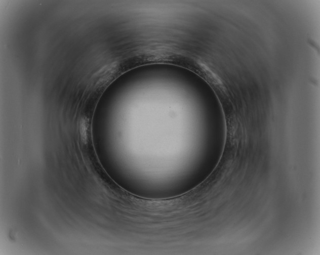 X0000091900026200709121507