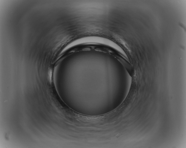 X0000091900027200709121507