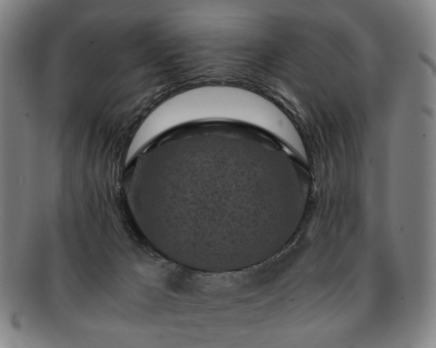 X0000091900029200709121507