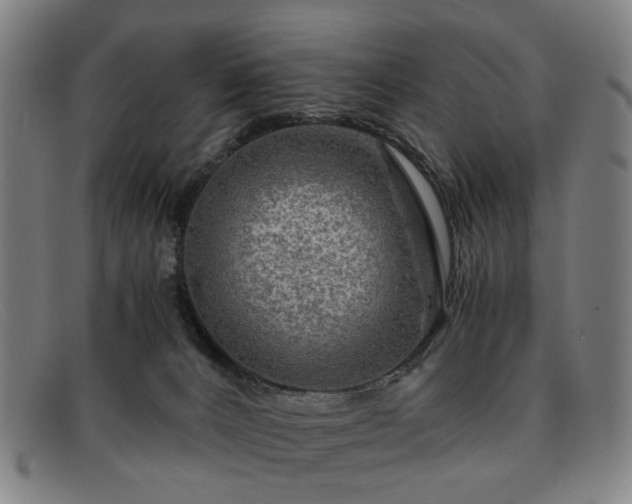 X0000091900032200709121507