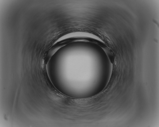 X0000091900033200709121507