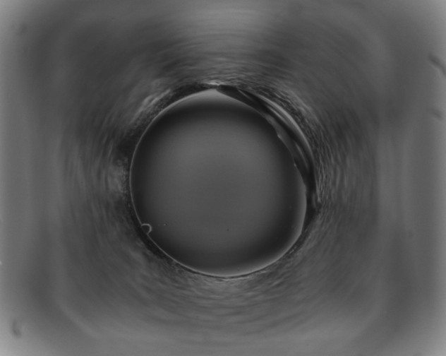 X0000091900035200709121507