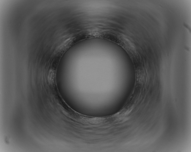 X0000091900036200709121507