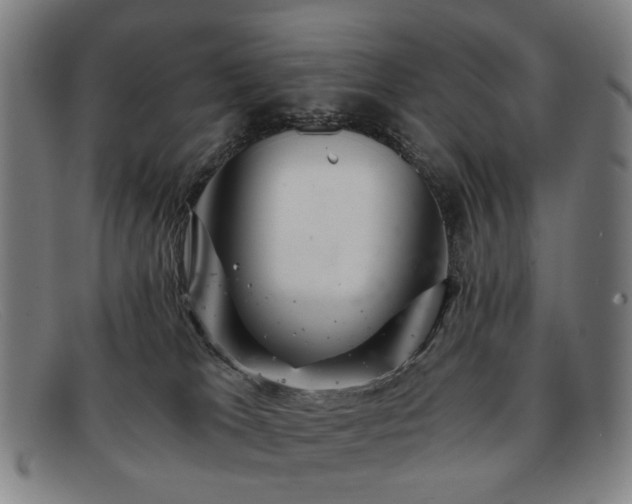 X0000091900037200709121507