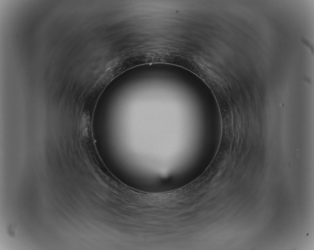 X0000091900038200709121507