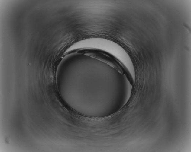 X0000091900039200709121507